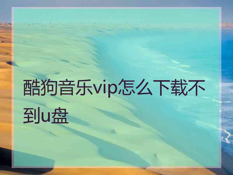 酷狗音乐vip怎么下载不到u盘