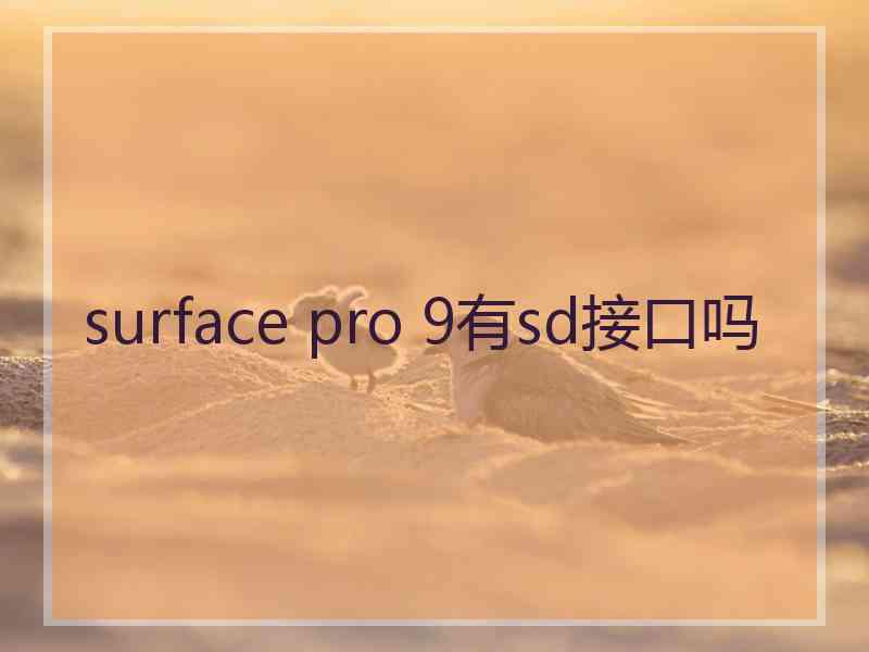 surface pro 9有sd接口吗