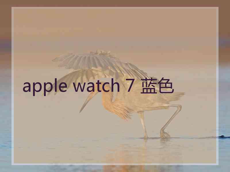 apple watch 7 蓝色