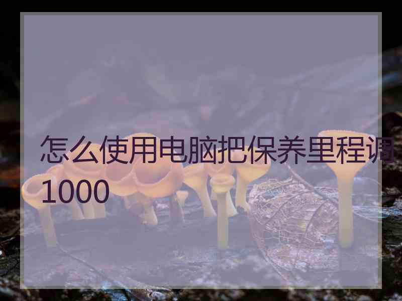 怎么使用电脑把保养里程调1000