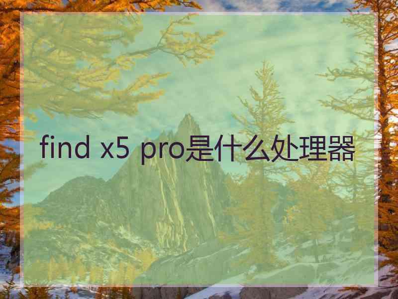 find x5 pro是什么处理器