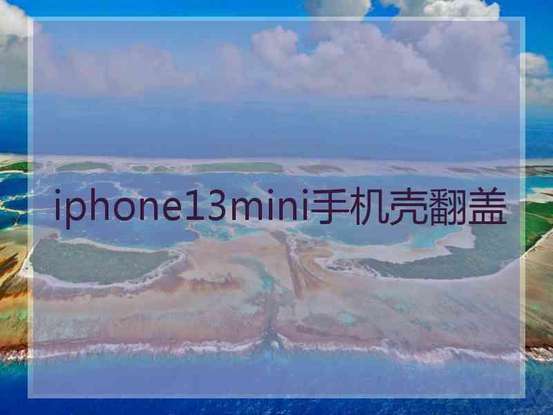 iphone13mini手机壳翻盖