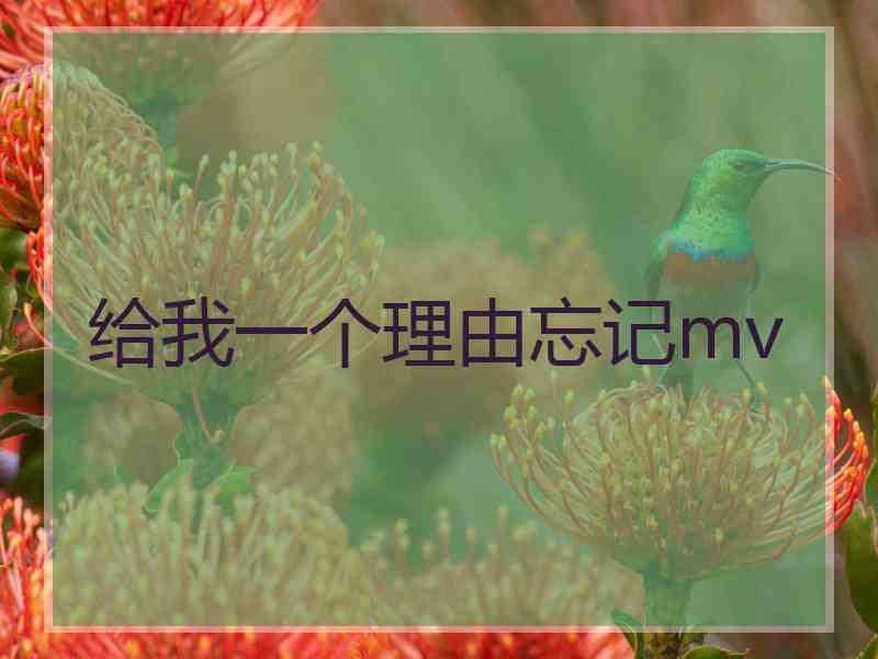 给我一个理由忘记mv