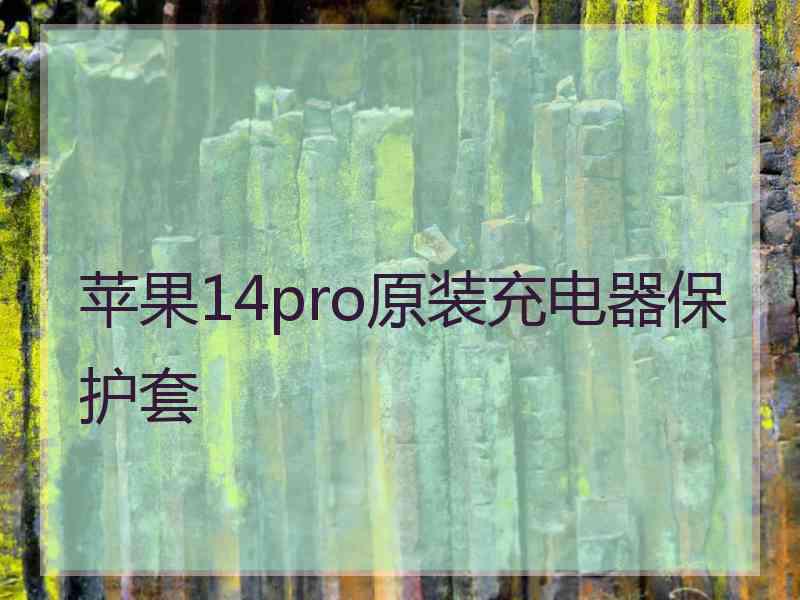 苹果14pro原装充电器保护套