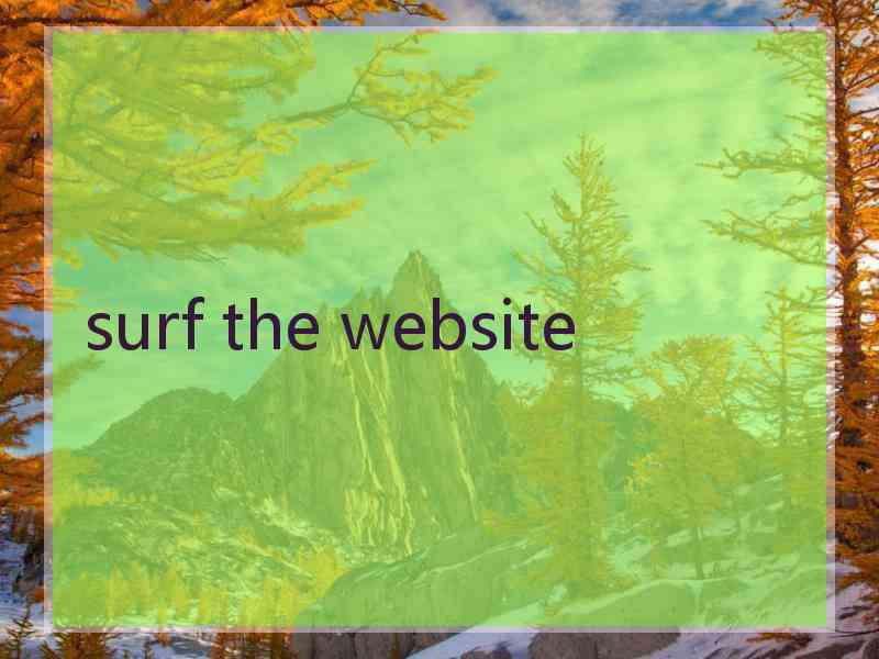 surf the website