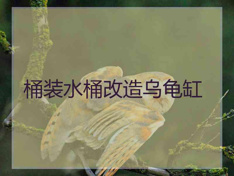 桶装水桶改造乌龟缸