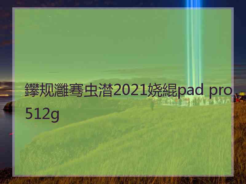 鑻规灉骞虫澘2021娆緄pad pro 512g