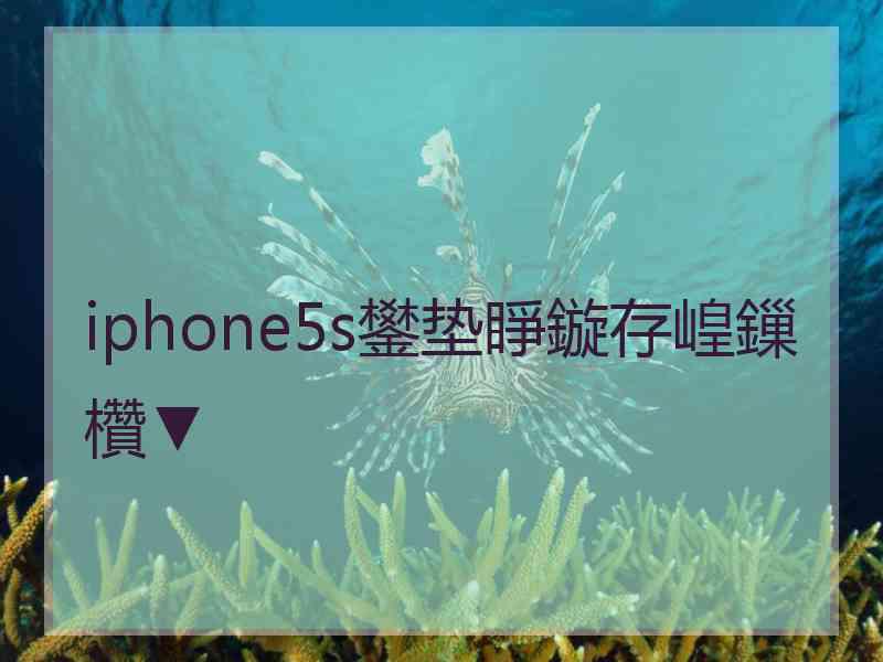 iphone5s鐢垫睜鏇存崲鏁欑▼