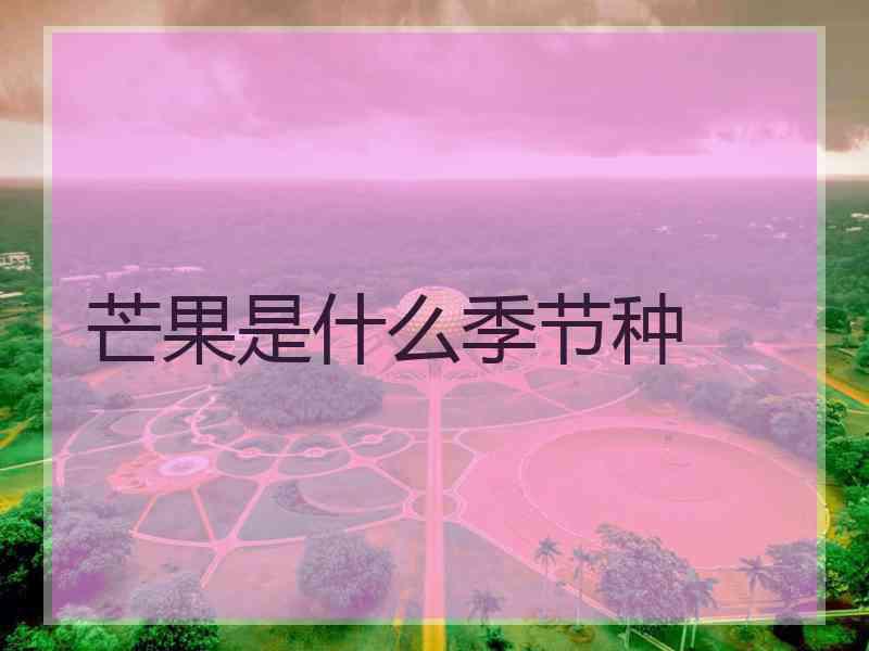 芒果是什么季节种