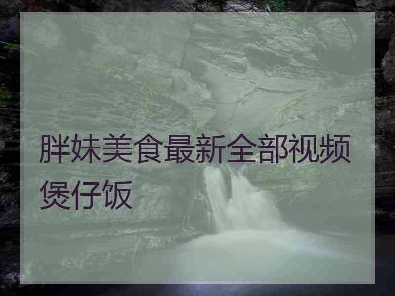 胖妹美食最新全部视频煲仔饭