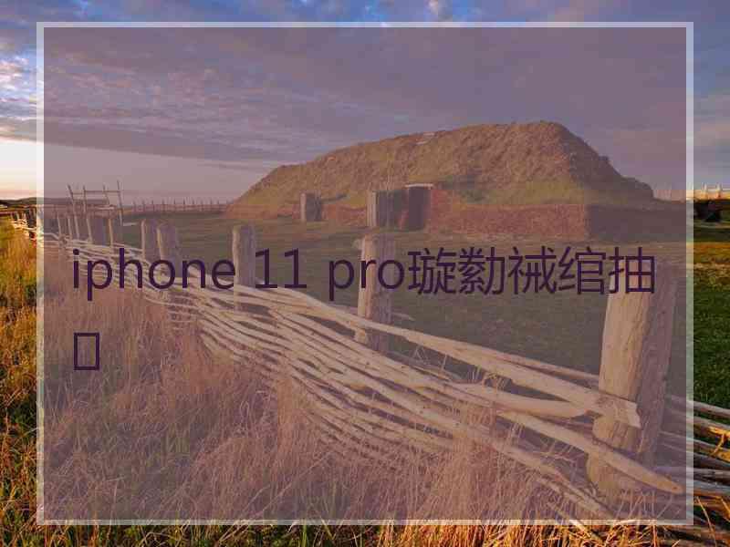 iphone 11 pro璇勬祴绾抽