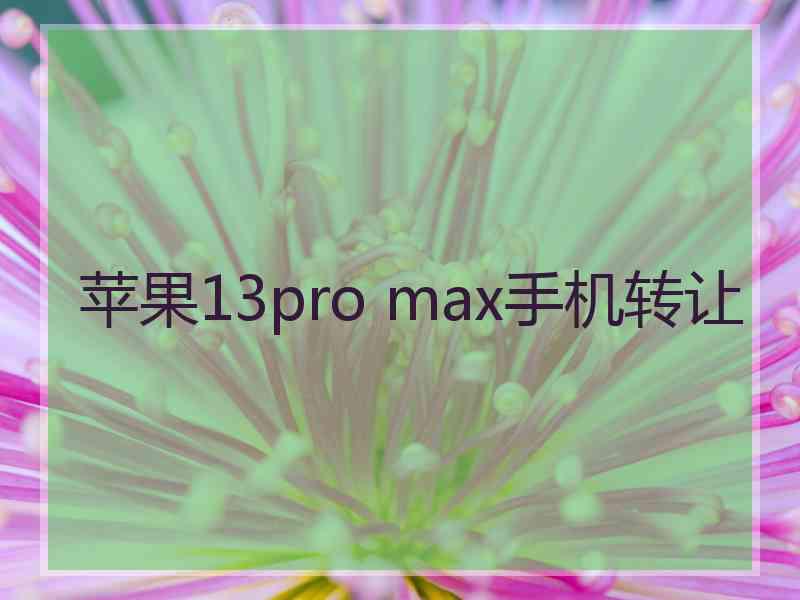 苹果13pro max手机转让