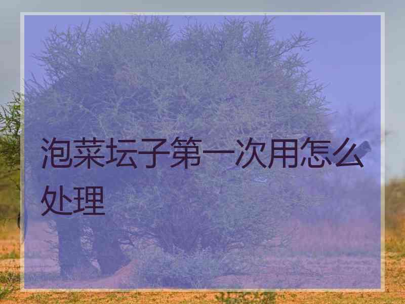 泡菜坛子第一次用怎么处理