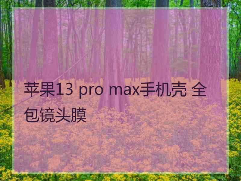 苹果13 pro max手机壳 全包镜头膜