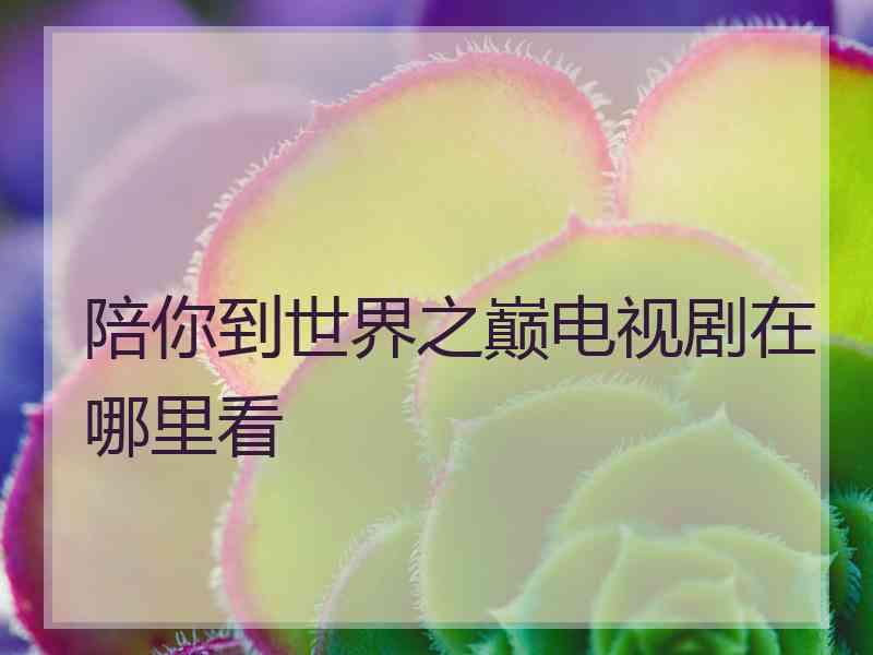 陪你到世界之巅电视剧在哪里看