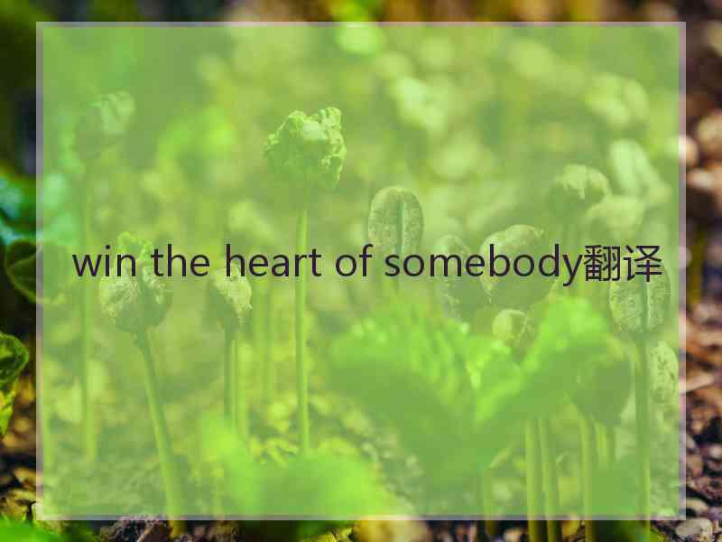 win the heart of somebody翻译