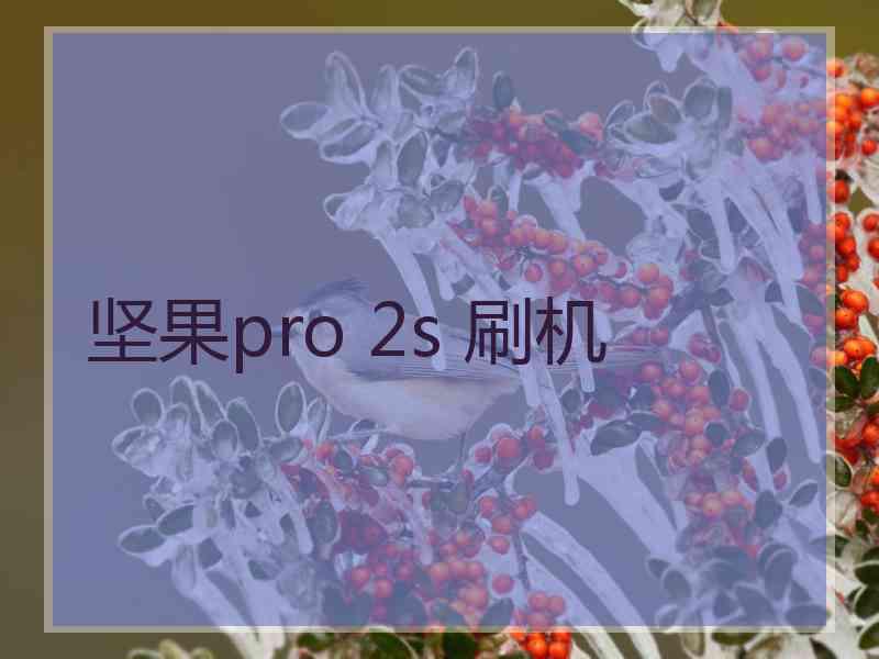 坚果pro 2s 刷机