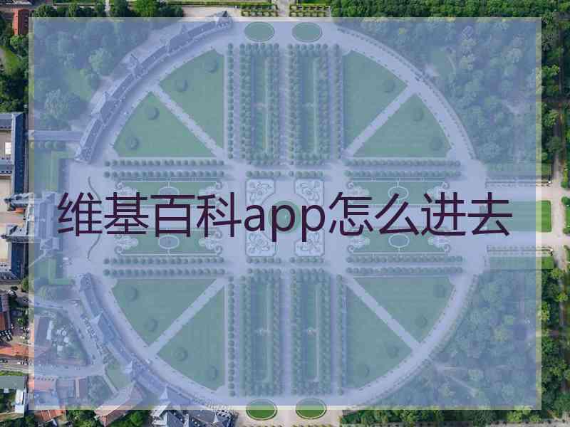 维基百科app怎么进去