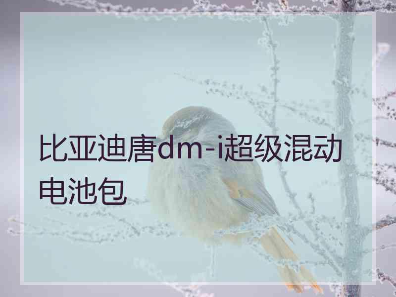 比亚迪唐dm-i超级混动电池包