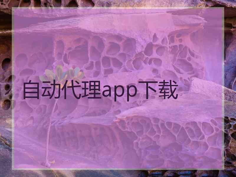 自动代理app下载