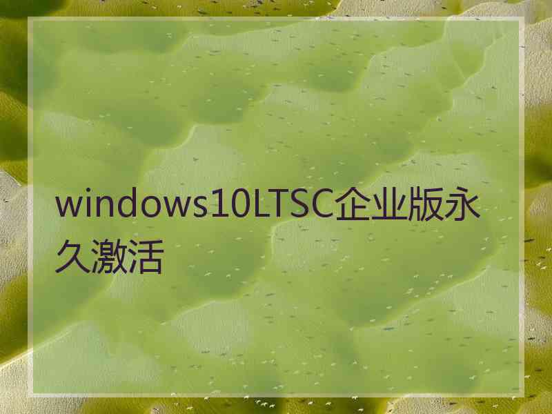 windows10LTSC企业版永久激活