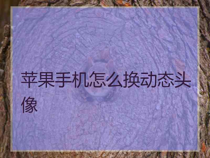 苹果手机怎么换动态头像