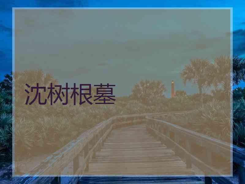 沈树根墓