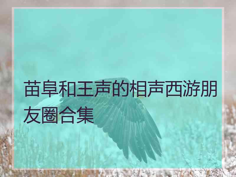 苗阜和王声的相声西游朋友圈合集