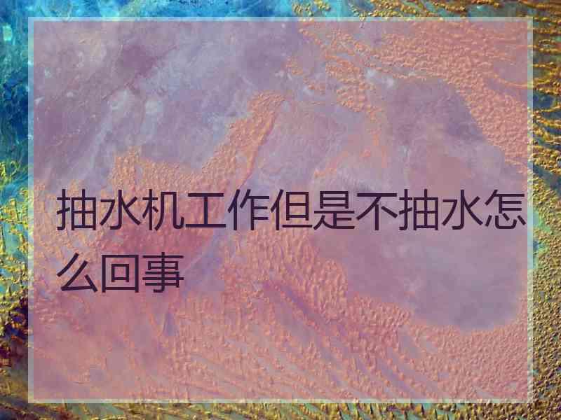 抽水机工作但是不抽水怎么回事