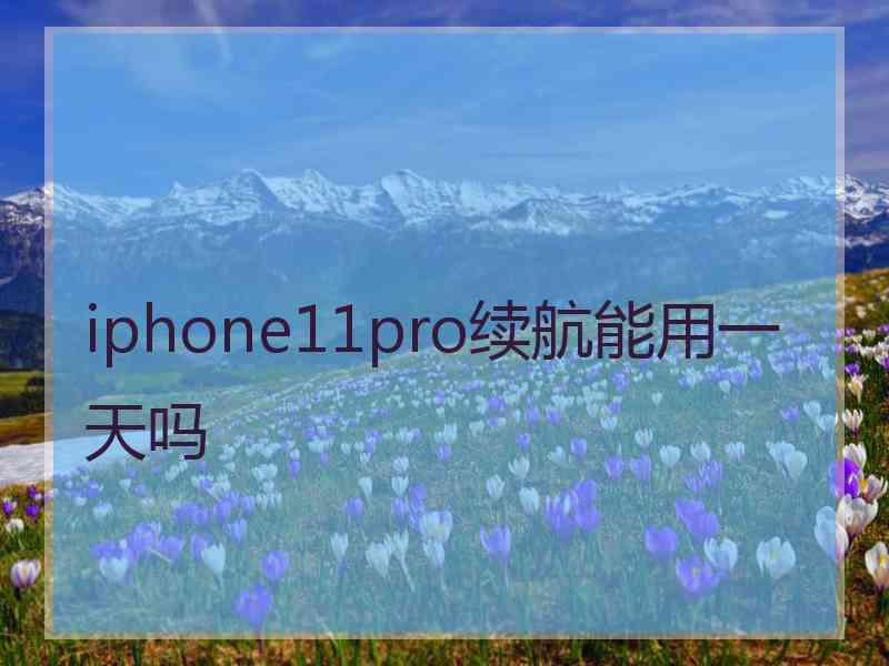 iphone11pro续航能用一天吗