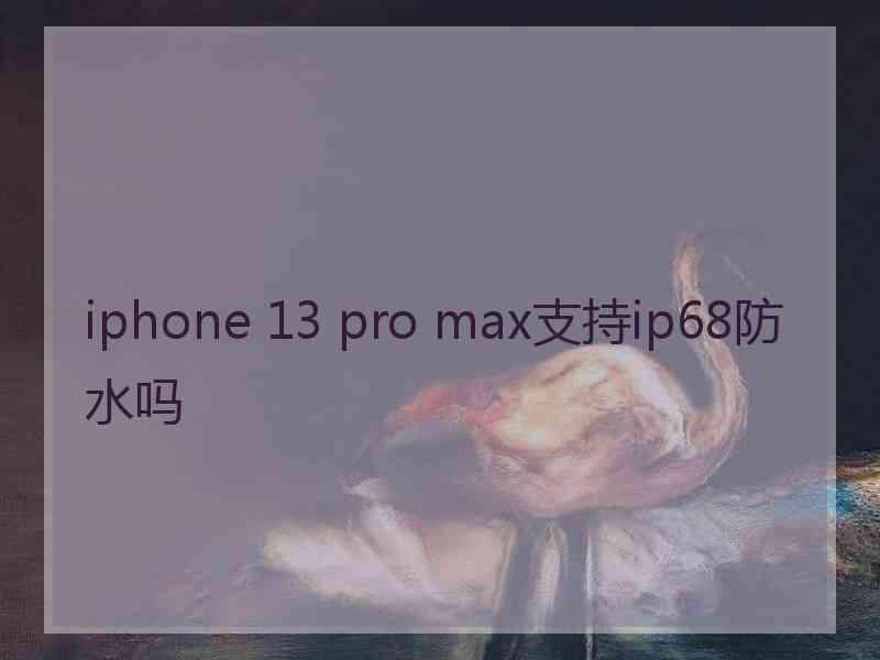 iphone 13 pro max支持ip68防水吗