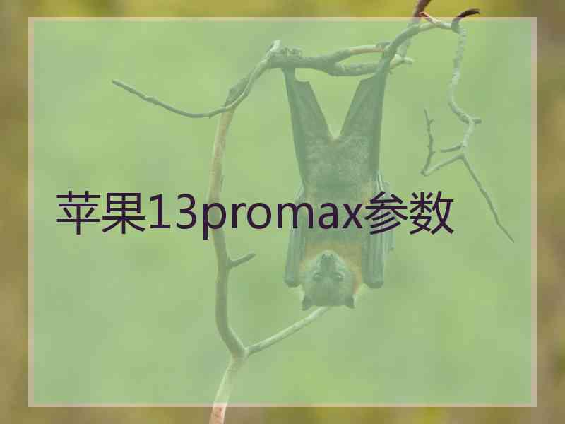 苹果13promax参数