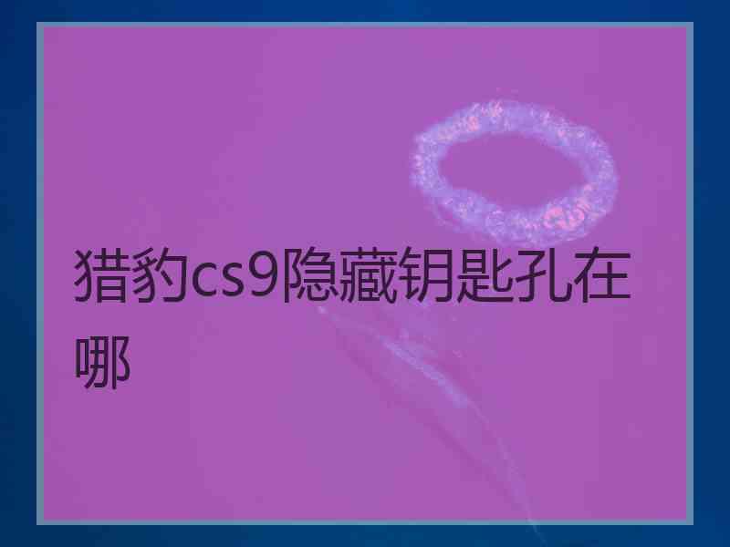 猎豹cs9隐藏钥匙孔在哪