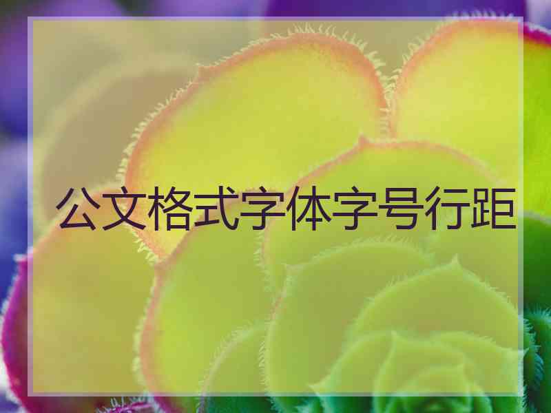 公文格式字体字号行距