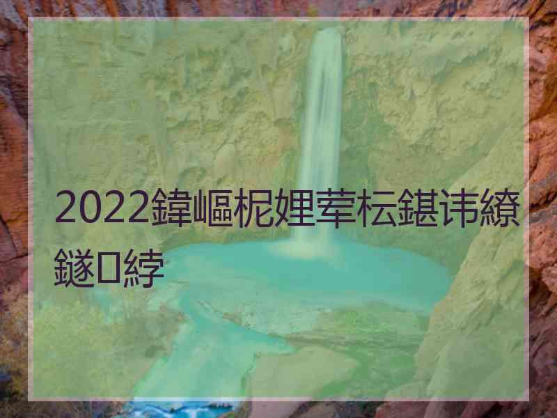 2022鍏嶇柅娌荤枟鍖讳繚鐩綍