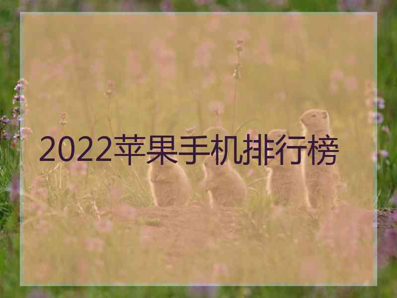 2022苹果手机排行榜