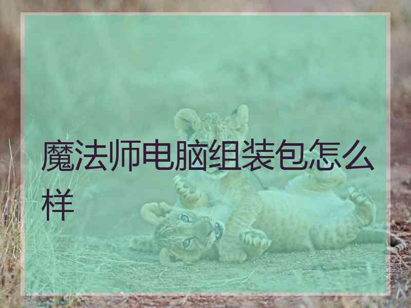 魔法师电脑组装包怎么样