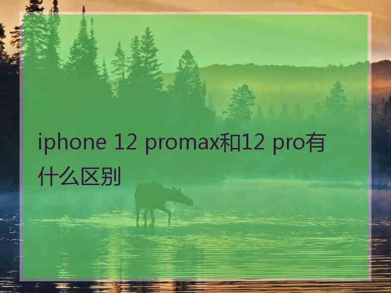 iphone 12 promax和12 pro有什么区别