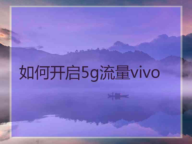 如何开启5g流量vivo