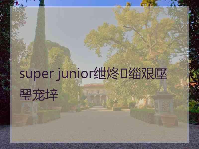 super junior绁炵缁艰壓璺宠垶