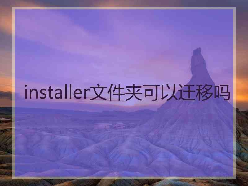 installer文件夹可以迁移吗