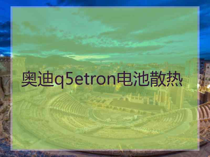 奥迪q5etron电池散热