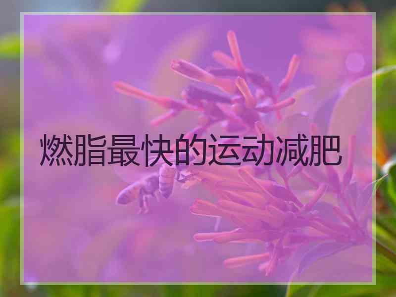 燃脂最快的运动减肥