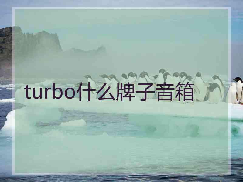 turbo什么牌子音箱