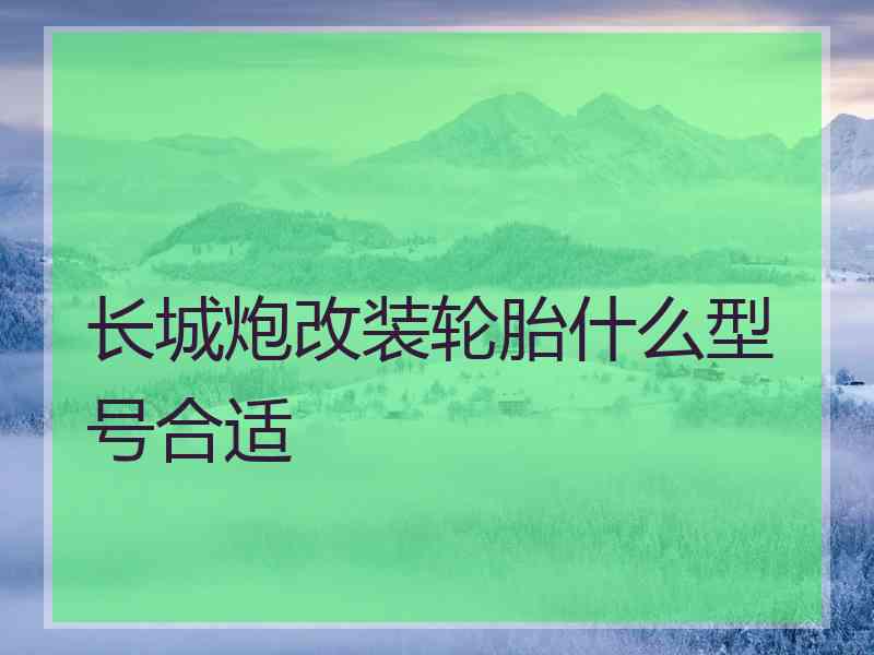 长城炮改装轮胎什么型号合适