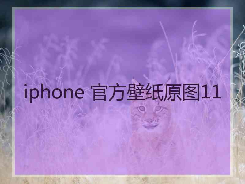 iphone 官方壁纸原图11