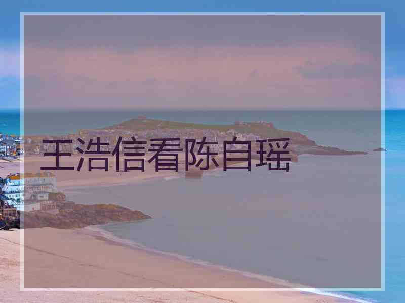 王浩信看陈自瑶