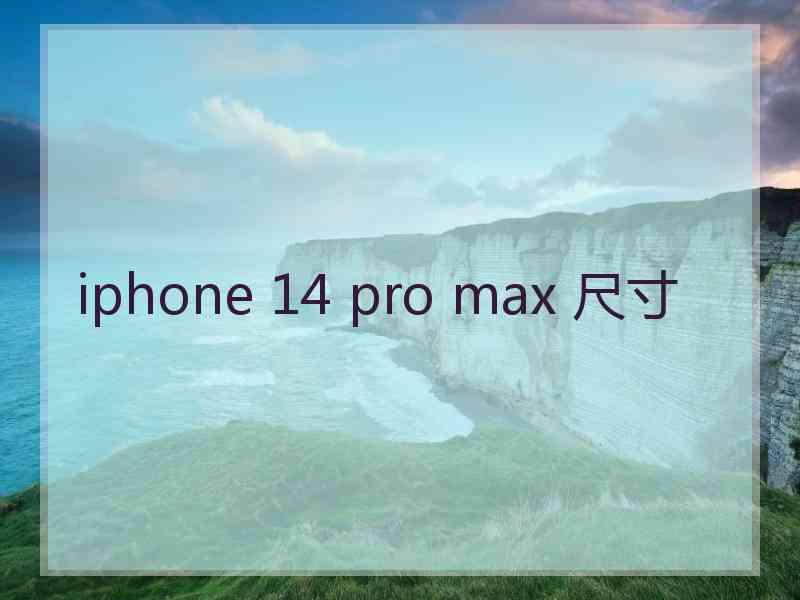 iphone 14 pro max 尺寸