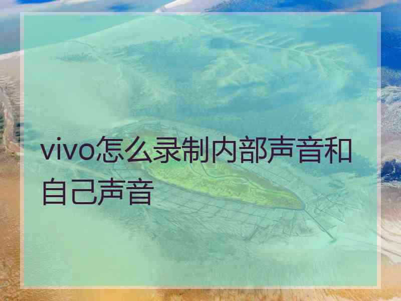 vivo怎么录制内部声音和自己声音