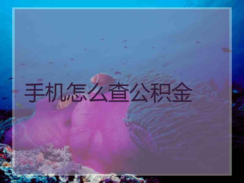 手机怎么查公积金